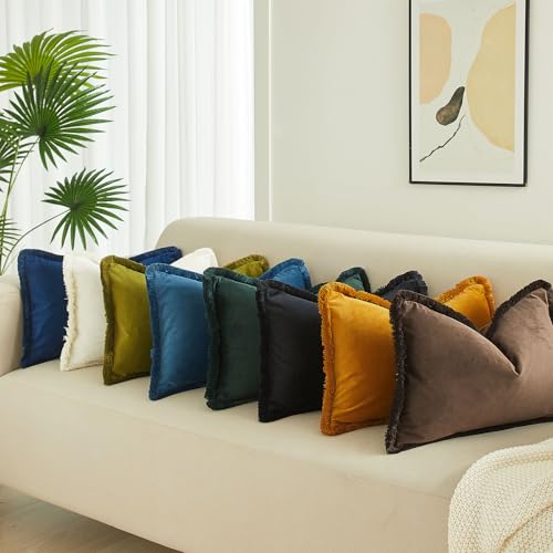 JUSPURBET Pack of 2 Coffee Decorative Fringe Velvet Throw Pillow Covers 20x20 for Home Decor Living Room Bedroom Car Boho Soft Cushion Cover with Hidden Zipper Machine Washable - color: Coffee, size: 20" x 20" (Pack of 2)