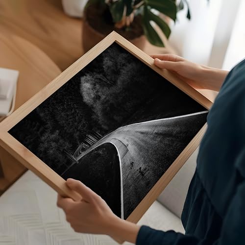 Monem Art Winding Road Through a Forest Print - Bavarian Paths Poster - Landscape Art - Monochrome Office or Living Room Decor - 8x10 Unframed Wall Art by Adam Dauria - color: Style-09, size: 8"L x 10"W