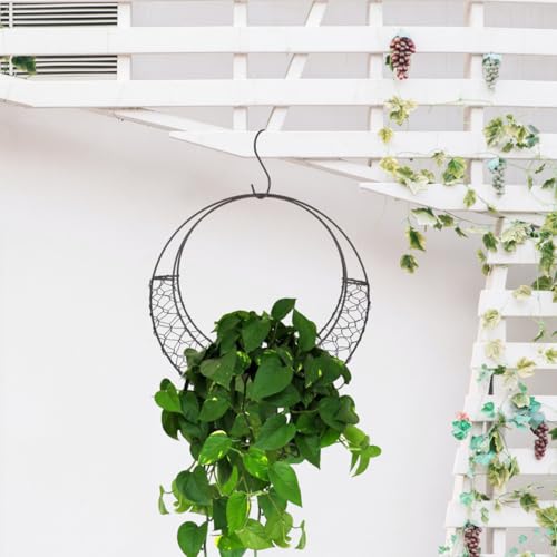 Angoily Moon Shape Wire Wreath Hanging Basket 11.02 Inch S Shape Plant Holder for Indoor Outdoor Patio Garden Succulents Flowers Decor