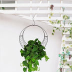Angoily Moon Shape Wire Wreath Hanging Basket 11.02 Inch S Shape Plant Holder for Indoor Outdoor Patio Garden Succulents Flowers Decor