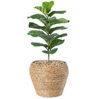 Vintiquewise Woven Round Flower Pot Planter Basket with Leak-Proof Plastic Lining - Large - size: Large