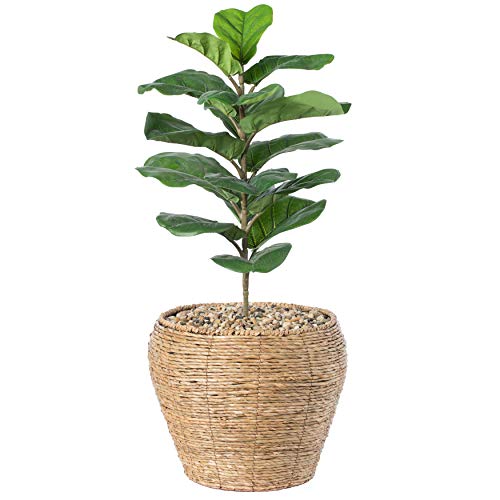 Vintiquewise Woven Round Flower Pot Planter Basket with Leak-Proof Plastic Lining - Large - size: Large
