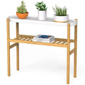 Wisuce Bamboo Shelf Indoor, 2 Tier Window Tall Stand Table for Multiple Plants…
