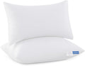 Leeden 12x20 Pillow Inserts Pack of 2, Fluffy Lumbar Throw Pillow Inserts, Soft Rectangle Decorative Throw Pillows for Couch, Sofa, Bed, and Home Decor White Pillows