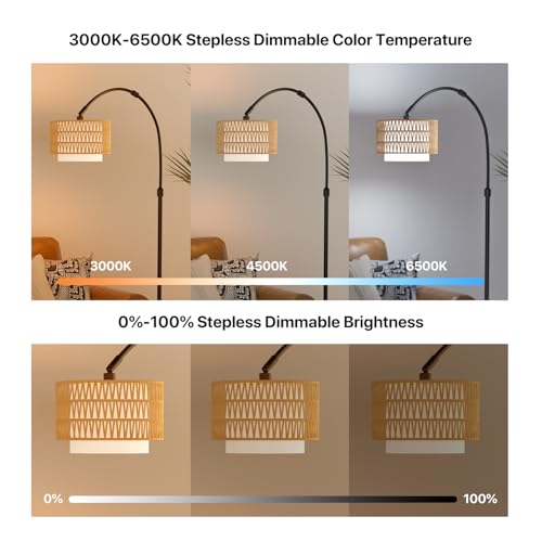 Arc Floor Lamp with Remote Control, Dimmable LED Floor Light with 3 Color Temperature, Black Standing Lamp with Rattan & Fabric Double Drum Shade, Boho Farmhouse Tall Floor Lamp for Living Room - size: Arc-Lantern Shade