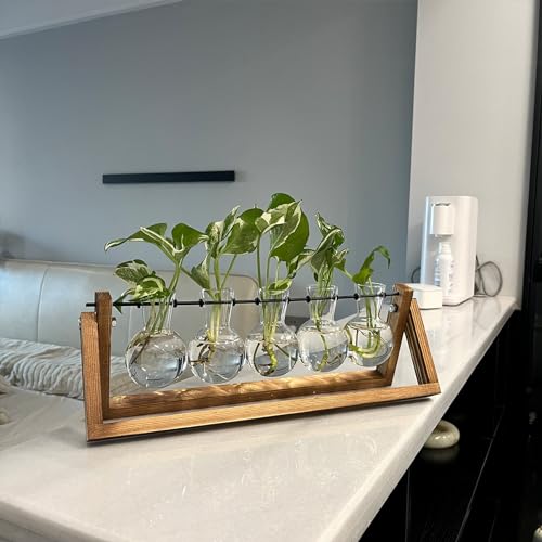 Kingbuy Plant Propagation Station with 5 Bulb Vases Retro Wooden Stand Desktop Glass Planter Terrarium for Hydroponics Plants Home Office Décor - size: 5 Bulb Vase
