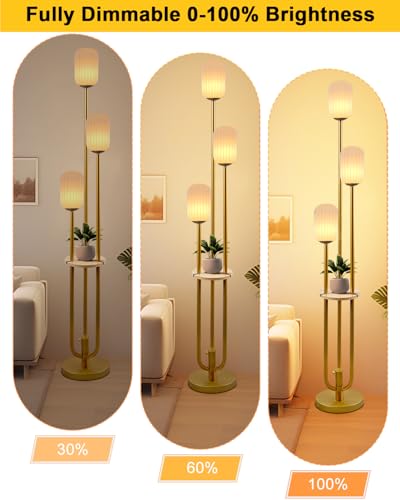 Floor Lamp for Living Room, Dimmable Vintage Floor Lamp with Shelf & LED Bulbs, 3 Light 3000K Soft Warmwhite Mid Century Standing Lamp, Tall Lamps with 5Lbs Heavy Base for Bedroom Office - color: Oval-Gold