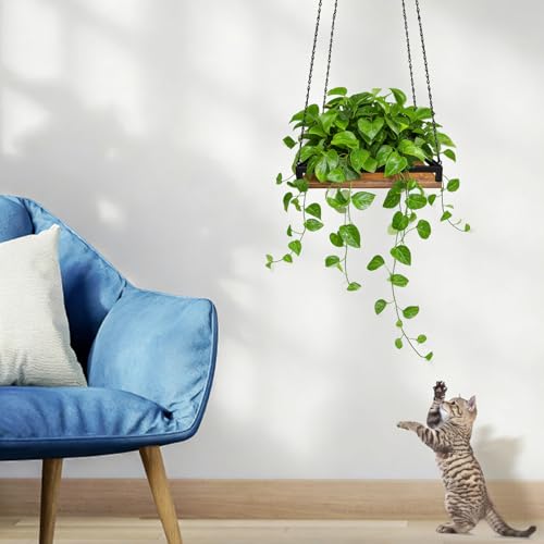 Plant Hanger Indoor, 11.8" Wooden Hanging Plant Holder with Metal Frame Hanging Planter for Indoor Plants Load 50LB Hanging Plant Shelf with 27.6" Long Chain, Ideal for Heavier Pots Window Ceiling - size: Small