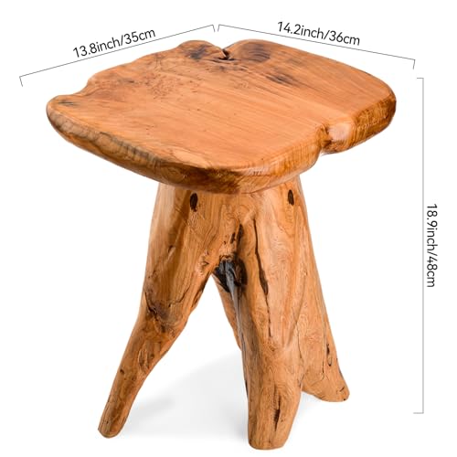 18.9 inch Live Edge Wood Stool, Live Edge Wood Stool, Freeform Mushroom Side Table Natural Plant Stand for Garden, Yard, Living Room, Bedroom - size: 14"D x 13"W x 19"H