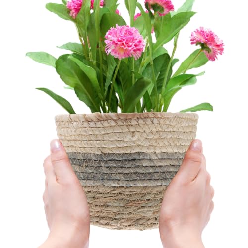 Operitacx 2 Pack Seagrass Plant Basket, Woven Planter Covers with Handles for Indoor Plant Pots and Home Decor 7X6in
