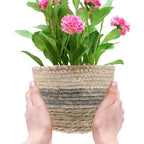 Operitacx 2 Pack Seagrass Plant Basket, Woven Planter Covers with Handles for Indoor Plant Pots and Home Decor 7X6in