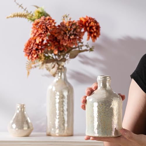 Ceramic Vase Set of 3, Decorative Vases Home Decor Modern Neutral Flower Pampass Boho Vase for Living Room, Table, Mantel, Entryway, Bookshelf, Kitchen, Bedroom, Bathroom - White - color: 009-white