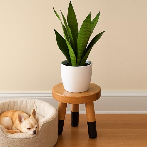 Rubber Wood 9" Round Plant Stand |Dip Dyed Black Stool, Wood Riser |Milking Stool (8" H) - color: 8" Tall Black