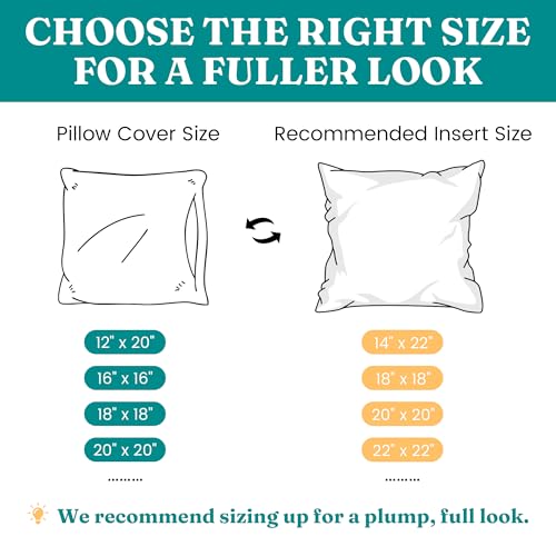 Oubonun 30 x 30 Throw Pillow Inserts - Soft, Plush & Decorative Down Alternative Pillows for Couch Sofa Bed, Machine Washable - White, Pack of 2 - size: 30x30 Inch (Pack of 2)