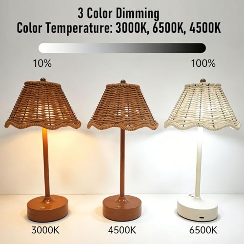Boho Rattan Shade Table Lamp, Cordless Wicker Woven Vintage Table Lamp, 3 Colors Dimmable with Decorative Design, Ideal for Home Bedroom Living Room Office Decor (White) - color: White