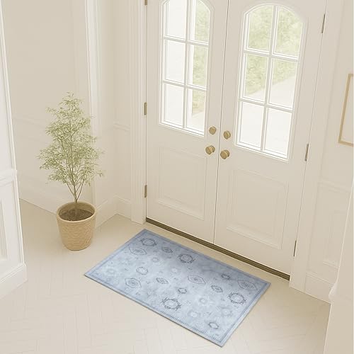 Turkish Rug. Washable Vintage Oriental Antique Inspired Traditional Doormat Small Modern Area Rugs Luxury Entryway Entry Bedroom Bathroom Kitchen (394GG, 2' x 3') - color: 394gg, size: 2' x 3' (Rectangular)
