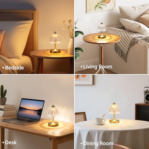 Shenmoyl Tulip Small Table Lamp, 5200mAh Cordless Touch Control Mini Table Lamp with 3 Color Temps & Stepless Dimming, Perfect for Small Spaces like Dressers, Bedsides, Bookshelves (Transparent Tulip) - color: Transparent Smalll, size: 1 Pack