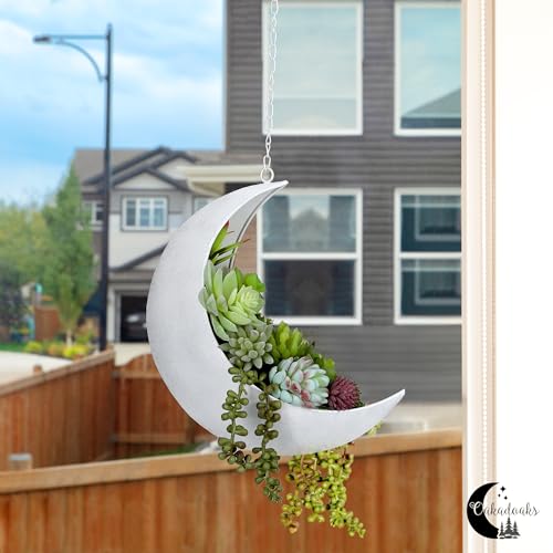 Hanging Moon Planter for Moon Room Decor - Great for Succulents, Air Plant, Mini Cactus, Faux, Artificial Plants-Boho Hanging Planters for Indoor Plants, Witchy Gifts for Women, Birthdays,Plant Lovers - color: Rustic White Moon Planter Only
