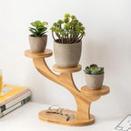 3 Tiered Desk Plant Stand Bamboo Tree Plant Shelf Tabletop Succulent Herb Stand Desktop Plant Stand Indoor Plant Rack for in Living Room Office Decoration (3 Tiered) - size: 3 Tiered