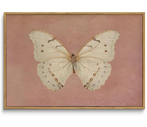 Framed Vintage Butterfly Canvas Wall Art Antique White Moth Picture Pink Aesthetic Poster Print Neutral Moody Insect Painting Farmhouse Wall Decor for Living Room Bedroom Dorm Office 16x24in - color: Butterfly, size: 24"L x 16"W