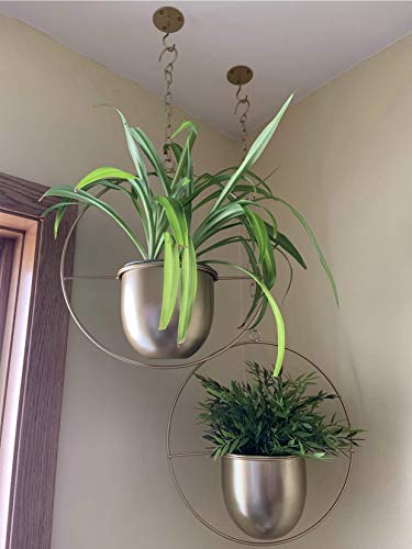 2 Pack Gold Hanging Planter, Hanging Planters for Indoor Plants with 5.5" Pot + Ceiling Hook + Extender Chain, Gold Plant Hanger, NO Plant incld - color: Gold X 2