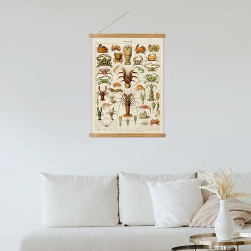 ABoby Vintage Hanging Posters, Decorative Crustaces Wall Art Prints, Printed on Linen with Wood Frames, Ready to Hang - color: Crustaces