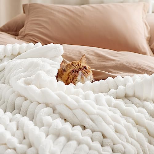 Bedsure GentleSoft King Size Blanket for Bed - Cozy Soft Blankets for Women, Cute Large Bedding Fleece Throws for Girls, Off White, 108x90 Inches - color: Off White, size: King