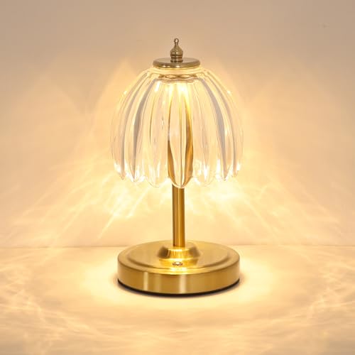 Shenmoyl Tulip Small Table Lamp, 5200mAh Cordless Touch Control Mini Table Lamp with 3 Color Temps & Stepless Dimming, Perfect for Small Spaces like Dressers, Bedsides, Bookshelves (Transparent Tulip) - color: Transparent Smalll, size: 1 Pack
