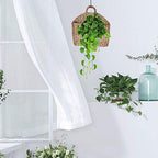 Seagrass Wicker Storage Basket with Handle - Semi-Circular Willow Woven Hanging Basket for Home, Garden, Wedding Wall Decor