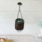 Bohemian Mushroom Wall Hook - Unique Cute Cool Fun Wall Hook Furniture Room Decor for Coat and Towel - Nursery, Kitchen, Bedroom, Bathroom，Coat Hooks (Ellipse)