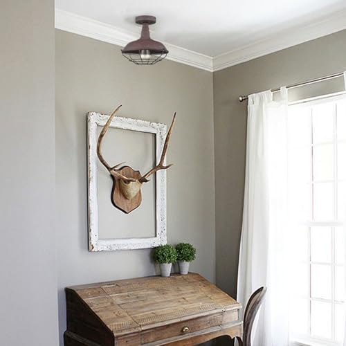 DAYCENT Rustic Semi Flush Mount Ceiling Light Barn Style Light Fixture Farmhouse Metal Cage Ceiling Light 1-Light Industrial Wire Caged Flush Mount Light Rust Finish for Hallway Foyer Kitchen - color: Hard-wired Ceiling