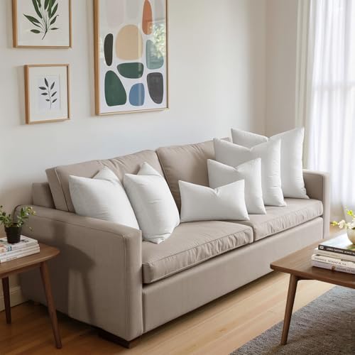 MIULEE Pack of 4 20x20 Pillow Inserts, Premium Feather and Down Decorative Throw Pillows, Fluffy and Choppable, Cotton Fabric for Sofa Bed Couch - size: 20x20 Inch