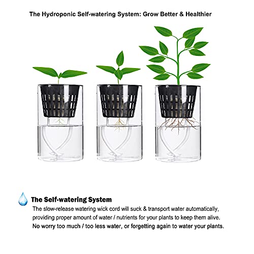 ORIMERC 2 inch Net Pots for Hydroponic Tower, 50 Pack Mesh Net Cups Come with Self Watering Wicking Rope&Plant Labels, for Hydroponic Garden Plants Baskets Aquaponics Vegetable Growing Indoor BPA Free - size: 2 inch (50 Pack)