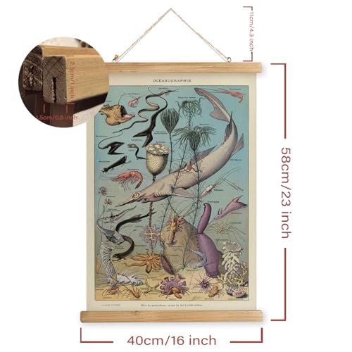 2 Pack Vintage Poster Hanger Frame, Retro Style Wall Decor Art Painting, Patterns are Printed on Linen Without Fading, Living Room Office Classroom Bedroom Playroom Apartment Decor. (Sea Creatures) - color: 2 x Ocean Life, size: 23"L x 16"W
