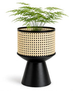 PandS Metal Planter with Stand Beige Rattan-Style Indoor & Outdoor Plant Pot, 12 Inch Decorative Planter with Drainage for Herbs, Succulents & Cactus