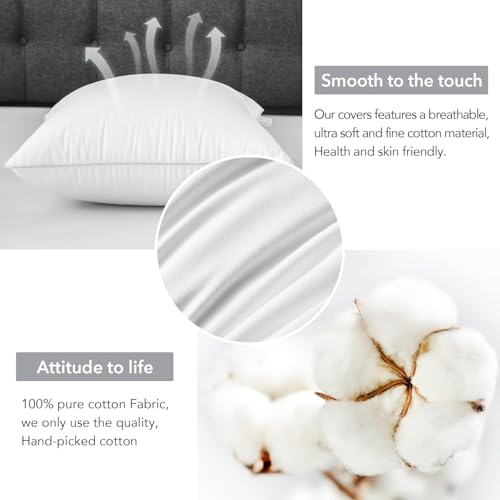 FAVRIQ 30 x 30 Pillow Inserts - Firm and Fluffy Decorative Square Sofa Throw Pillow with 100% Cotton Cover - Down Alternative Pack of 2 - size: 30x30 Inch