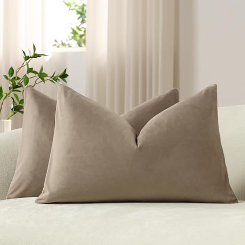 DEZENE Lumbar Pillow Covers 12x20 Taupe: Pack of 2 Cozy Soft Velvet Rectangular Modern Luxury Decorative Throw Pillow Cases for Sofa Couch Living Room Bed Home Decor - color: Cobblestone, size: 20" x 12" (Pack of 2)
