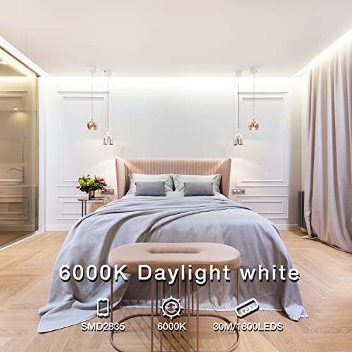 DAYBETTER White LED Strip Light, 100 ft Dimmable Strip, 6500K 24V Lighting Strips, 1800 LEDs 2835 Tape Lights for Bedroom, Kitchen, Mirror, Home Decoration(2 Rolls of 50 ft) - color: Daylight White, size: 100FT