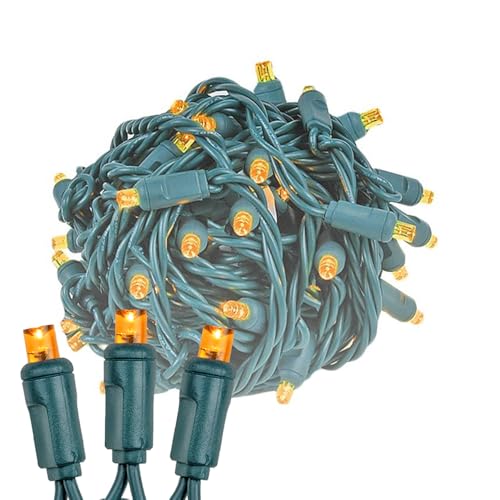 Novelty Lights 25ft 50 LED Amber Christmas Lights Outdoor/Indoor, 6" Spacing, Green Wire String Lights for Festive Xmas Lighting, IP55, UL Listed, Dimmable, Connectable - color: Amber
