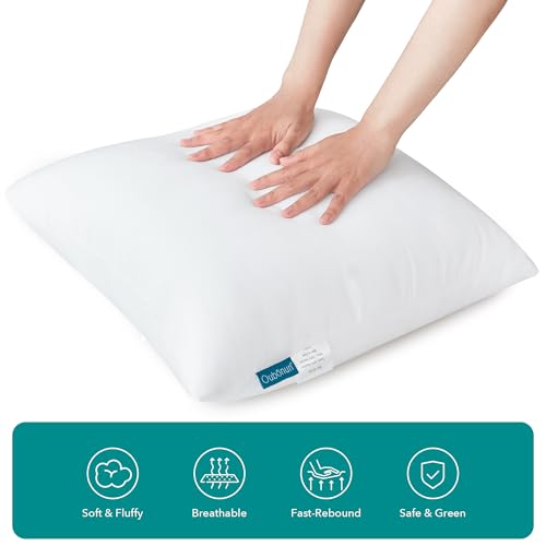 Oubonun 12 x 20 Throw Pillow Inserts - Soft, Plush & Decorative Down Alternative Pillows for Couch Sofa Bed, Machine Washable - White, Pack of 2 - size: 12x20 Inch (Pack of 2)