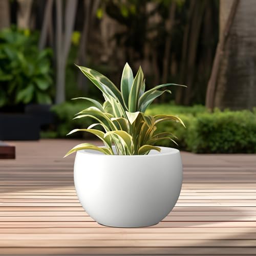 Kante 15.7" Dia Round Concrete Planter, Outdoor/Indoor Large Bowl Plant Pots with Drainage Hole and Rubber Plug for Garden Patio Balcony Home, Pure White - color: Pure White, size: 15.7" d
