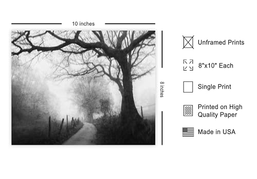 Monem Art Narrow Path into the Foggy Distance Print - Vague Memories Poster - Landscape Art - Monochrome Office or Bedroom Decor - 8x10 Unframed Wall Art by Adam Dauria - color: Style-03, size: 8"L x 10"W
