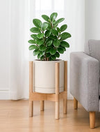 D'vine Dev Ceramic Planter with Natural Stand - 8 Inch Modern Round Flower Pot with Wood Planter Holder, Oatmeal, 55-B-N-8 - color: Oatmeal Pot + Natural Stand, size: 8 Inch