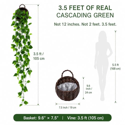 ANZOME Artificial Hanging Plant with Woven Wicker Basket, 3.5ft Faux Ivy Vine, Renter-Friendly No-Drill Wall Decor for Living Room Bedroom, Hooks & Everything Included (Minimal Odor, Pet-Friendly) - color: Dark Brown+chain Ivy