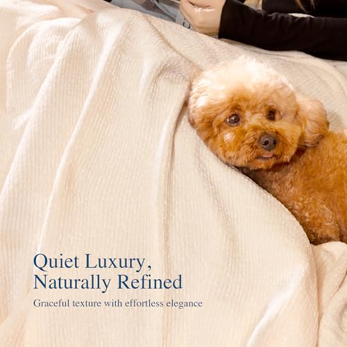 Chenille Throw Blanket for Couch, Cozy Soft Blanket Lightweight Decorative Throw for Living Room Sofa Chair, Stylish Home Decor, Ideal for Gifting, Ivory 50"x60" - color: Ivory, size: Throw