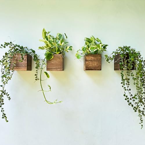 LaLaGreen Wood Planter Boxes (4x4 Inch, 4 Pack) Small Square Wooden Wall Mounted Flower Pot for Indoor Plants, Window Box Mount Hanging Herb Planters Outdoor Plant Holder Vertical Garden Home Decor - size: 4x4" x 4 pack