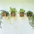 LaLaGreen Wood Planter Boxes (4x4 Inch, 4 Pack) Small Square Wooden Wall Mounted Flower Pot for Indoor Plants, Window Box Mount Hanging Herb Planters Outdoor Plant Holder Vertical Garden Home Decor - size: 4x4" x 4 pack