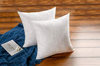 JA COMFORTS 16×16 Premium Goose Down Feather Throw Pillow Inserts(Set of 2)-5% Down Filling,High Filling Weight,250 TC Cotton Cover, Square, White - style: 16×16 (2 Pack)