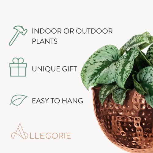 Allegorie Metal Wall Planter | Indoor or Outdoor Hanging Plant Pot | Farmhouse Decor & Boho Kitchen Decoration for Herbs & Succulents and Living Wall 12x7 (Copper) - color: Copper