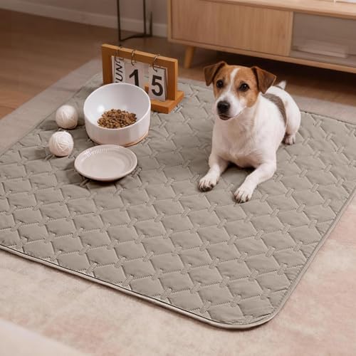 gogobunny 100% Double Sided Waterproof Dog Blanket Soft Pet Bed Cover Reversible Protect Furniture Couch Sofa Car for Puppy Large Dog Cat (Dark Stone/Light Stone, 30x30 Inch (Pack of 1)) - color: Dark Stone/Light Stone, size: 30x30 Inch (Pack of 1)